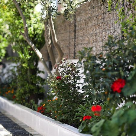 Vila Feliz - Premium Rooms With Free Private Parking วญอเรอ ภายนอก รูปภาพ