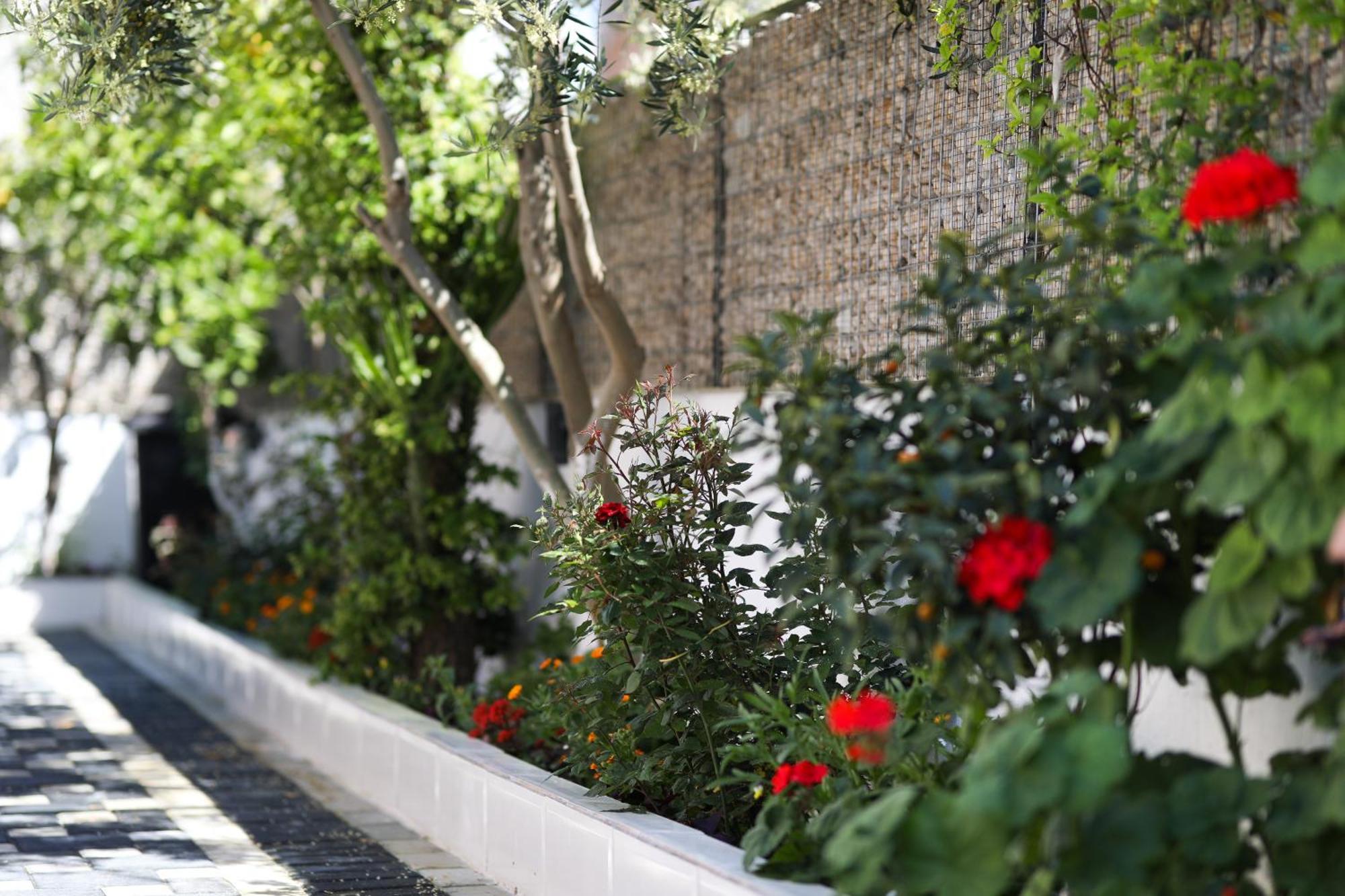 Vila Feliz - Premium Rooms With Free Private Parking วญอเรอ ภายนอก รูปภาพ