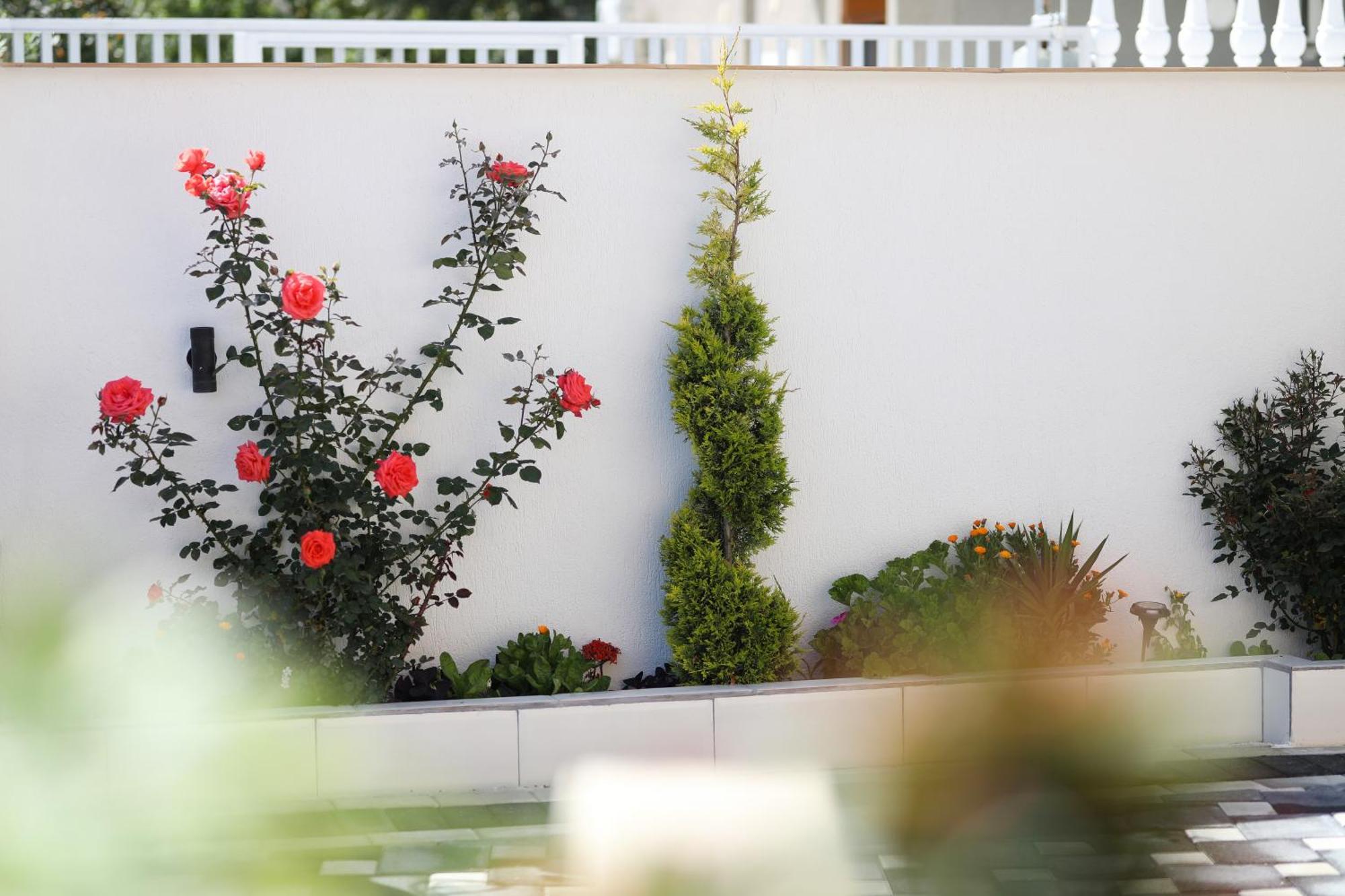 Vila Feliz - Premium Rooms With Free Private Parking วญอเรอ ภายนอก รูปภาพ